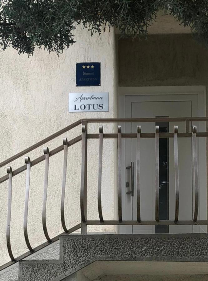 Lotus Holiday Apartment In Skrljevo 바카 외부 사진